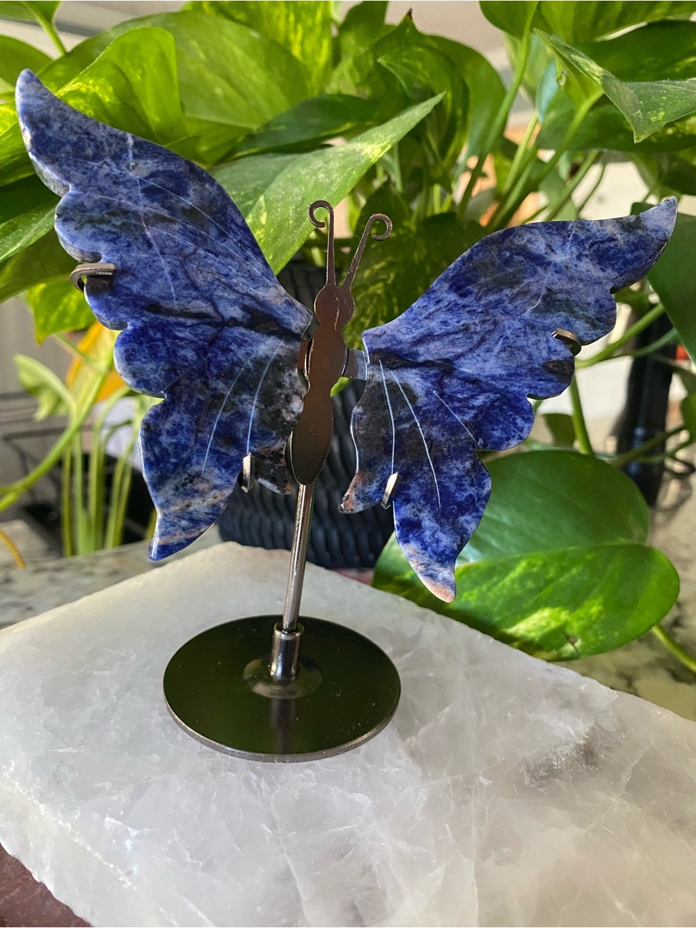 Sodalite Butterfly Figurine on Metal Stand